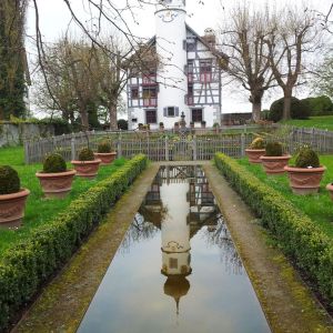 Gartenbecken 074